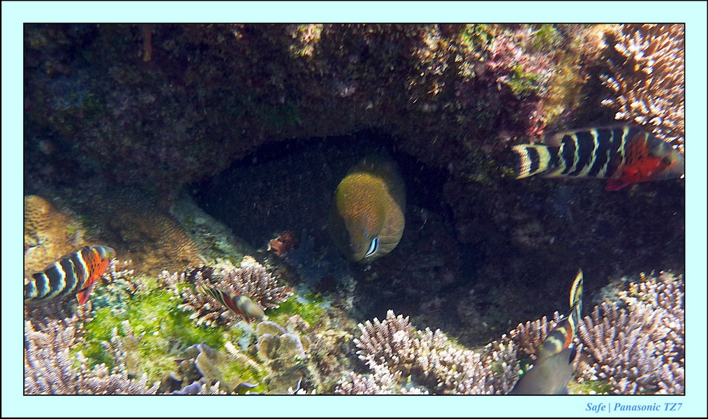 2011 - 08 - Redang 11